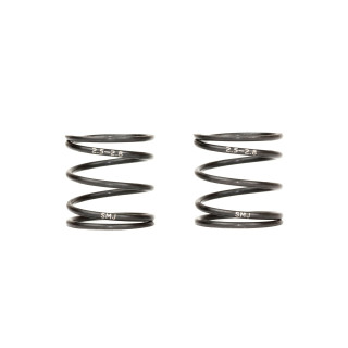 SMJ1262 Stealth Line Lefty 17 Spring Ts2.5-2.8 (2Pcs)