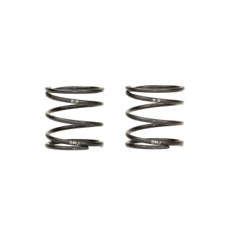 SMJ1258 Stealth Line Lefty 17 Spring Ts2.9 (2Pcs)