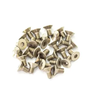 B02306-T M3X6mm Titanium Flat Head Screw (30Pcs)